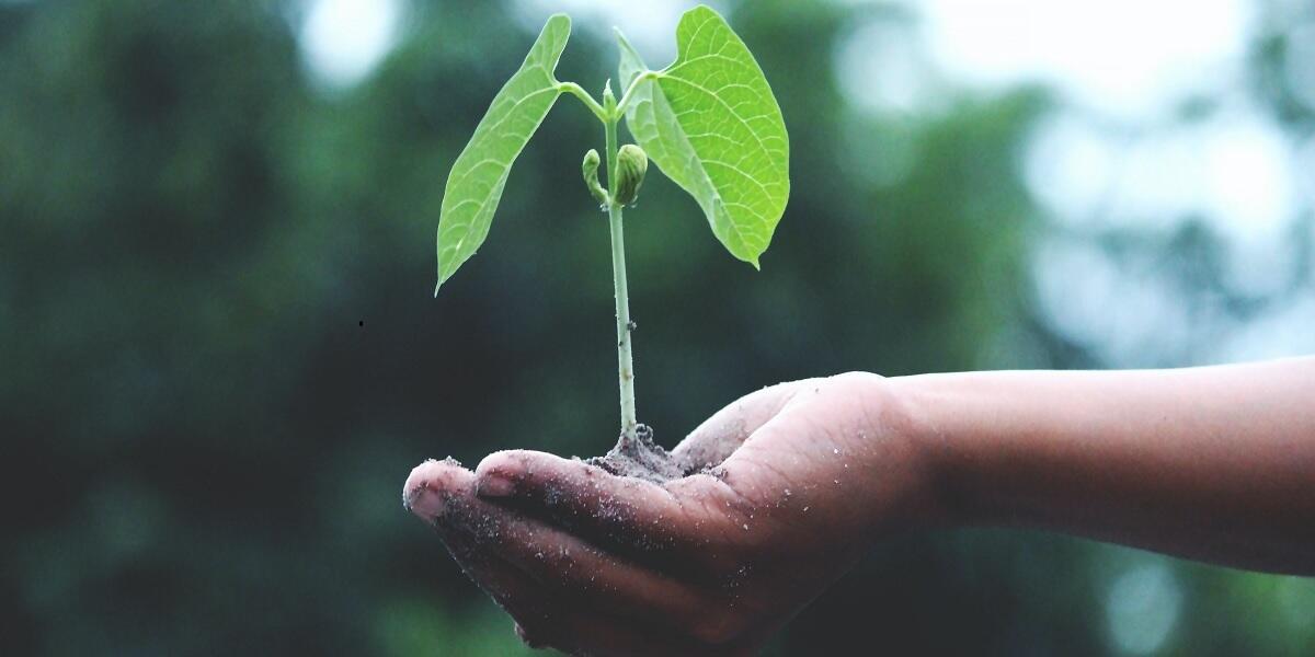 Appartement écologique : comment faire ?