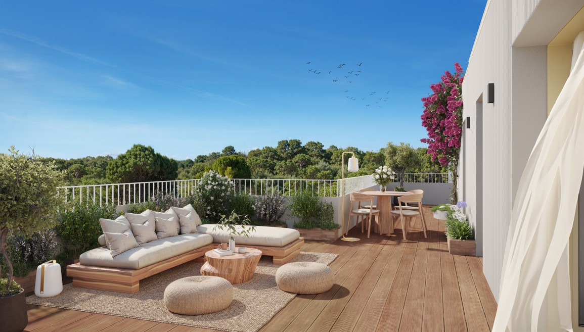 Image 1 sur 5 du lot