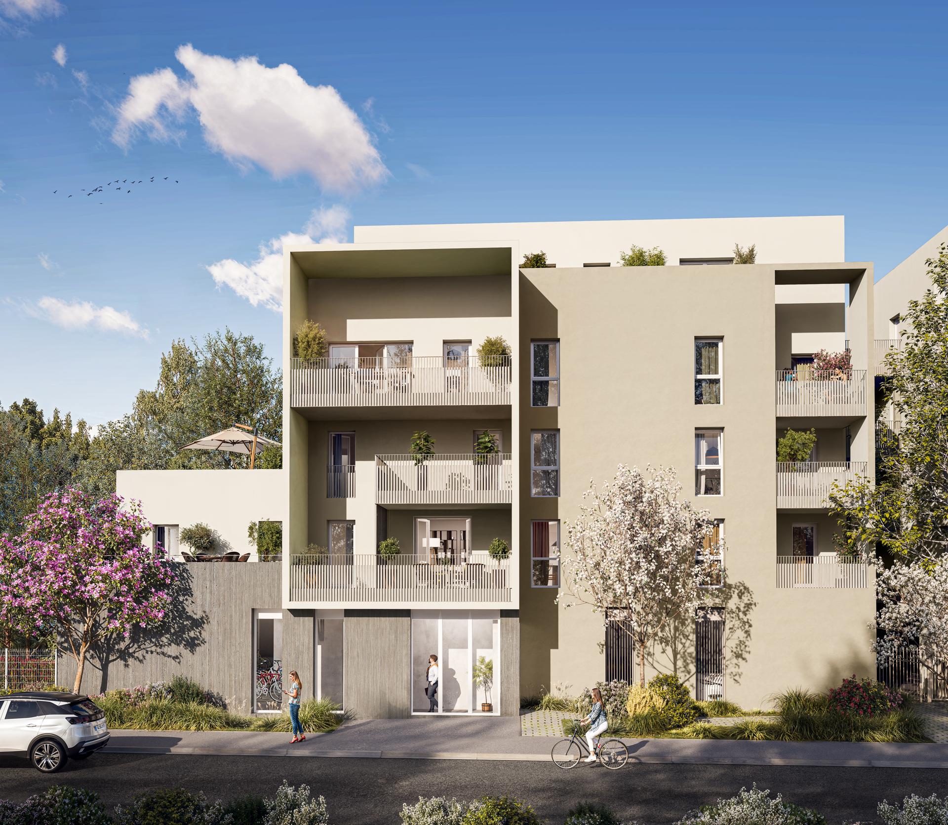 Image 1 sur 3 du lot