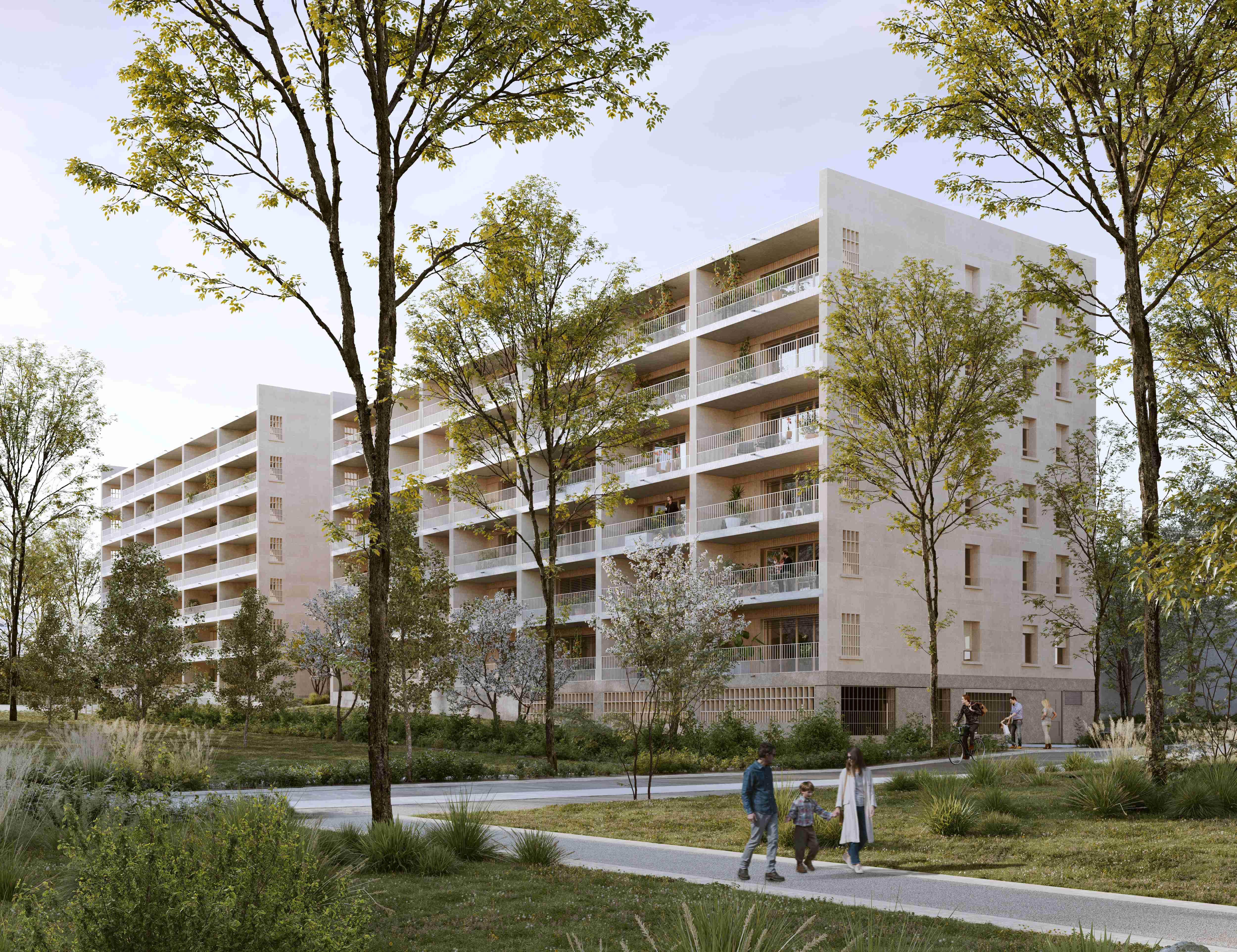 Image 1 sur 6 du lot