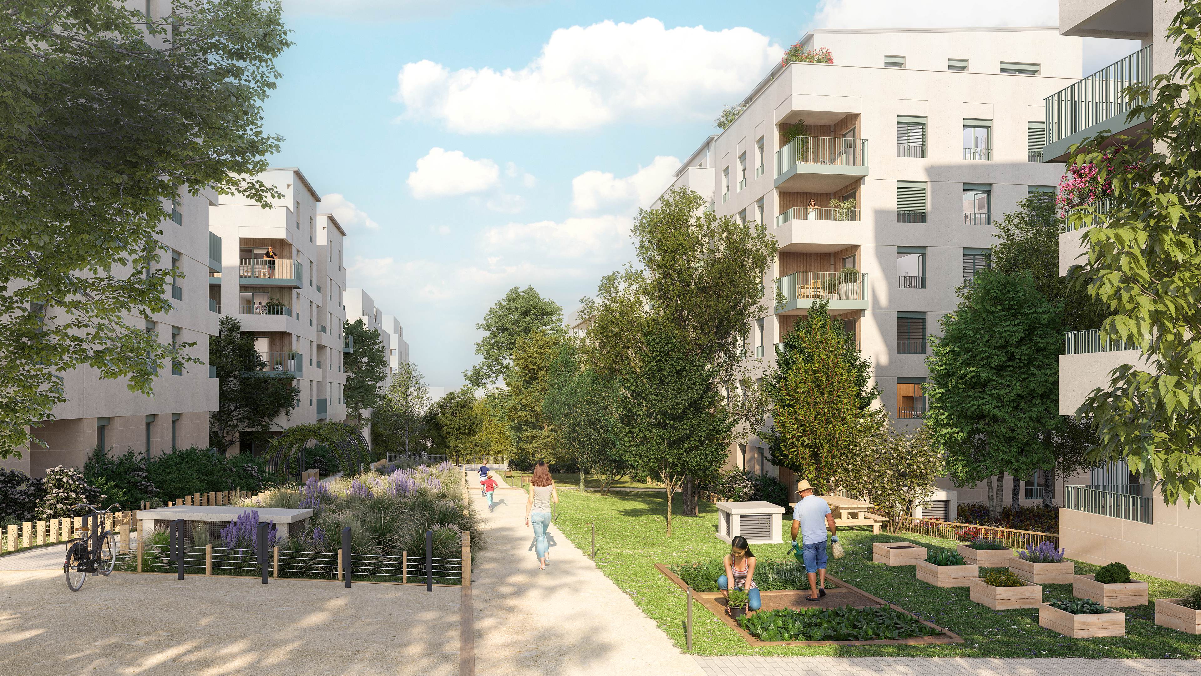 Image 1 sur 5 du lot