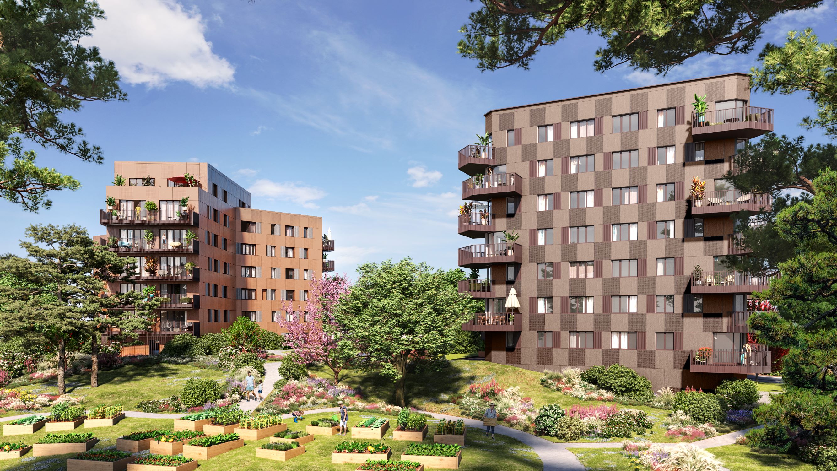 Image 1 sur 4 du lot